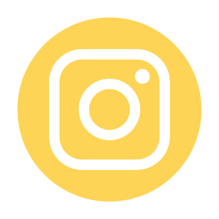 Instagram icon